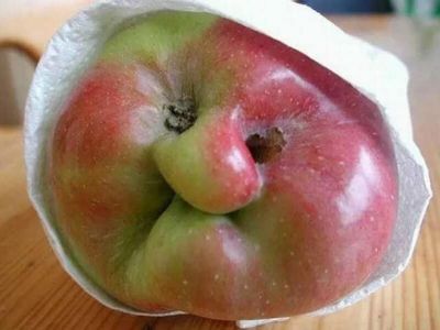 Сморщенное яблоко. Фото: irucodel.ru