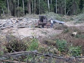 Сгоревшая техника в Химкинском лесу. Фото: ecmo.ru