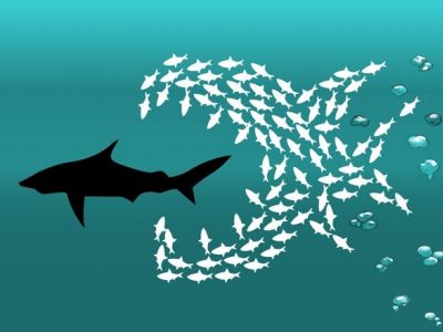 Победить хищника (акула и маленькие рыбки). Публикуется в afterempire.info