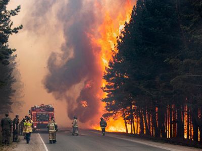 Лесные пожары России. Фото: Максим Слуцкий / AP
